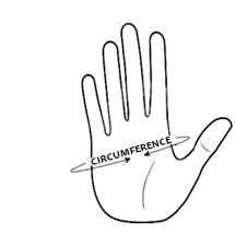 palmar crease measurement location