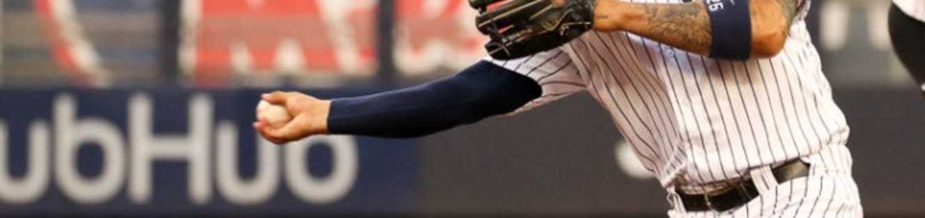 Baseball Elbow Sleeves/ Braces
