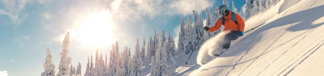 Skiing Shoulder Braces Skiing Shoulder Braces