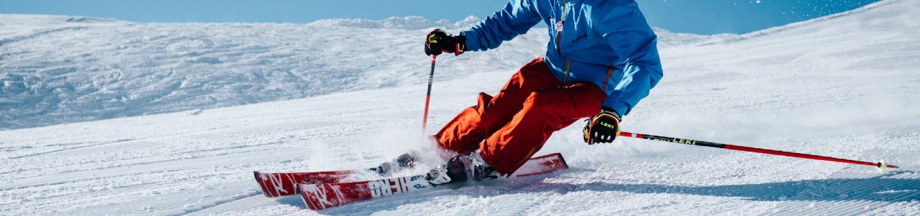 Skiing Ankle Braces Skiing Ankle Braces