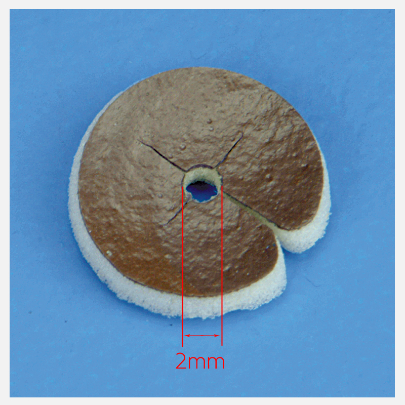 Algidex Ag IV Catheter Patch 3/4" Disc w/2mm opening (Case of 50)