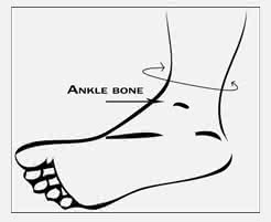 ankle bone
